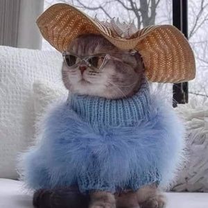 🌺 Welcome to MiShon's Galleria Fashion and More